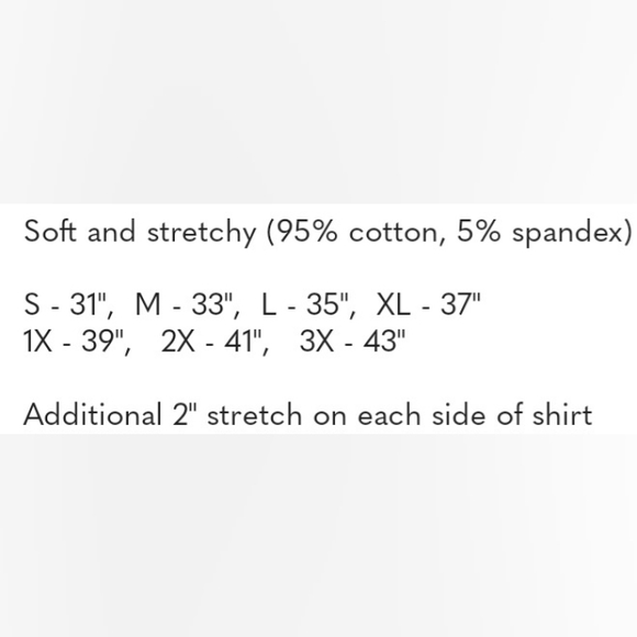 NIP Silver Rhinestone I'm Blessed T-shirt (S, M, 1X, 3X) 🩷LIVE show item - Picture 4 of 5